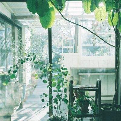 澳门mgm娱乐官网手机app下载